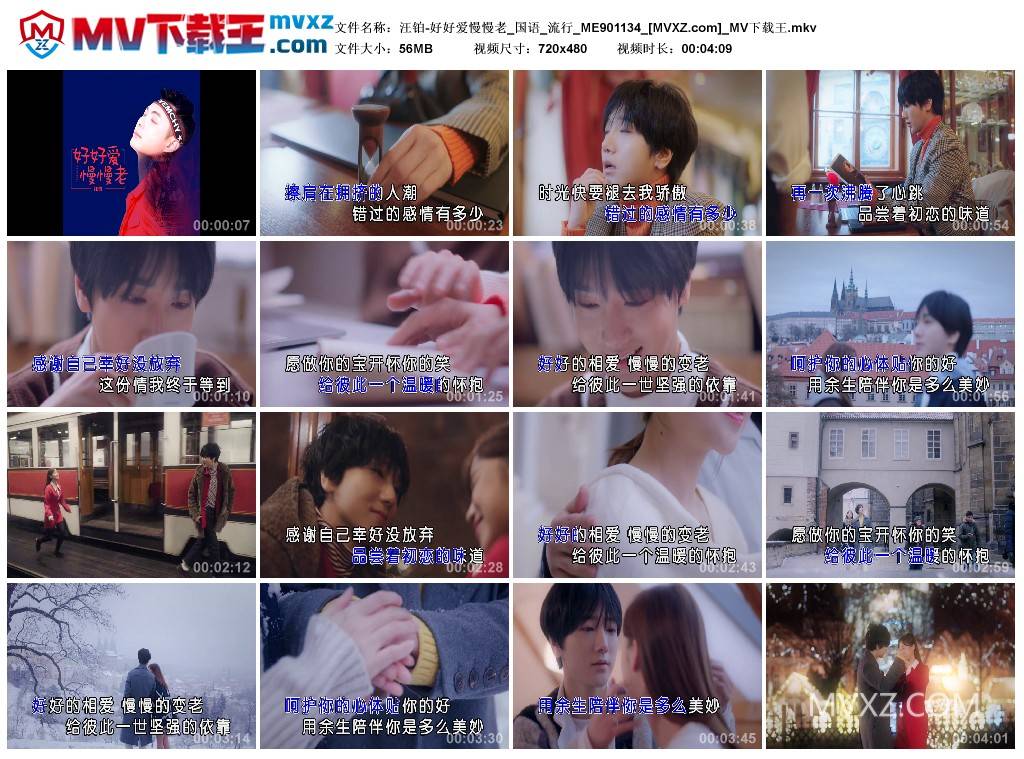 汪铂-好好爱慢慢老_国语_流行_ME901134